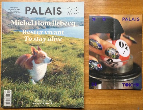 Michel houellebecq rester - michel,