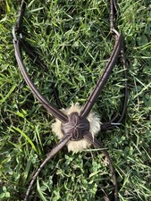 Gorgeous CWD Raised Figure 8 Noseband Sz 3 Full Horse Figure-8 Bridle