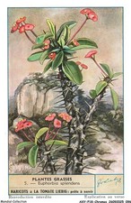 AXYP18-1400-CHROMOS -