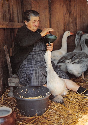 Lande gaveuse d - 40-la,