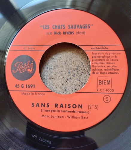 Les chats sauvages single 45 - chats,