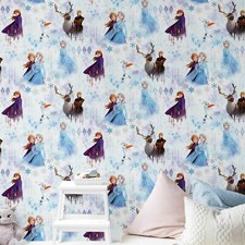 Princesse Disney Frozen 2