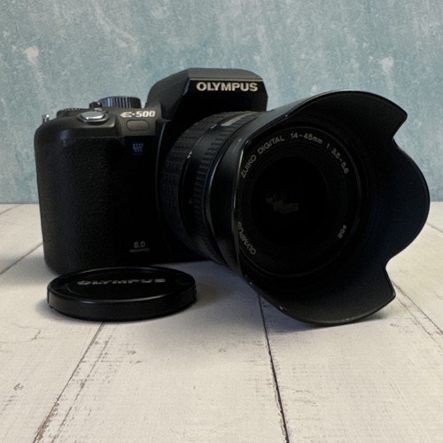 Olympus evolt 500 ccd sensor - olympus, e-500