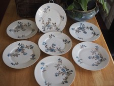 6 ANCIENNES ASSIETTES A DESSERT PORCELAINE DLG LIMOGES. DECOR FLORAL .DIAM 21 CM