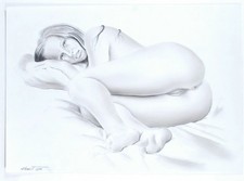 2011 Magnifique nu féminin