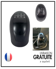 Pommeau levier 6 vitesses POUR