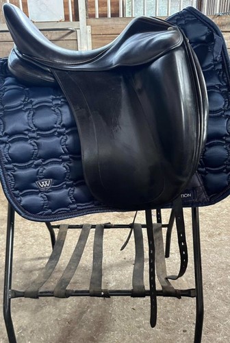 Luc childeric dpg dressage - luc, 17