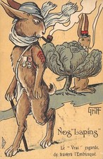 Old postcard fantasy / our rabbits