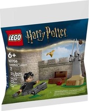 LEGO Harry Potter - La leçon