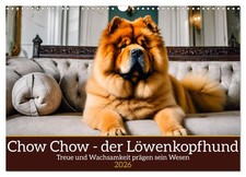 Chow Chow - le chien à tête