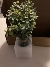 Artificial Sage Green Eucalyptus Stems in Glass Vase with Faux Water (12”) M5