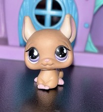 Petshop Chinchilla #799 LPS
