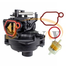 Carburateur pour Briggs &
