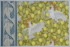 Poissons Cacatoès citron