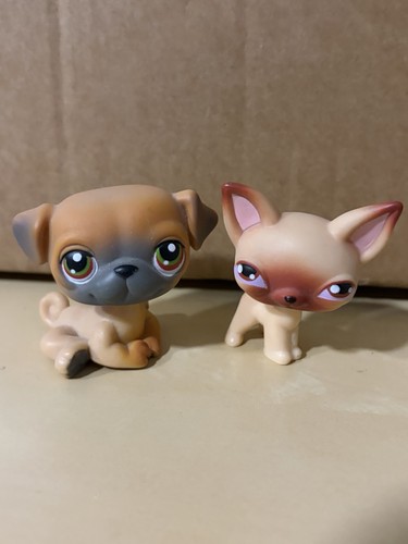 Hasbro lps petshop - -, pet