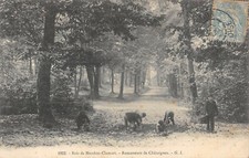 CPA 92 BOIS DE MEUDON CLAMART