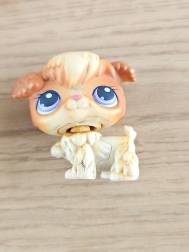 Littlest pet shop - my, ancien