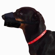 Dingo Nylon Muserolle Souple