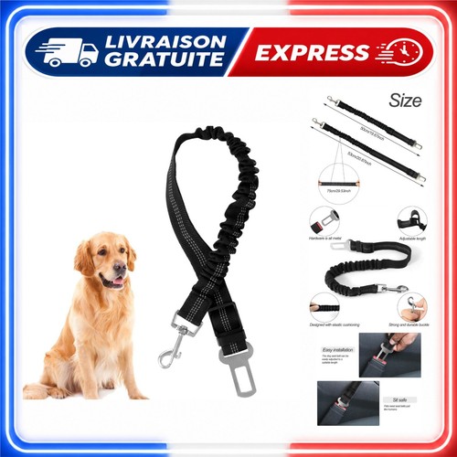 Ceinture sécurité chien - de,