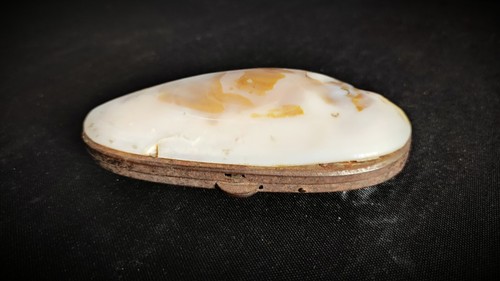 Ancien porte monnaie - , en