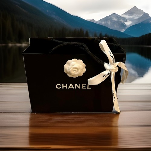 Chanel sac cadeau shopping - chanel,