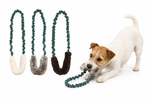 Jouet pour chien - jouet, anneau