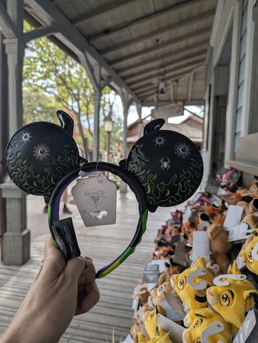 Authentic disneyland paris - disneyland,