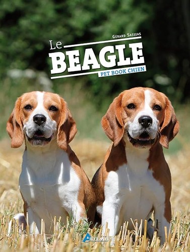 Beagle gérard sasias - beagle,