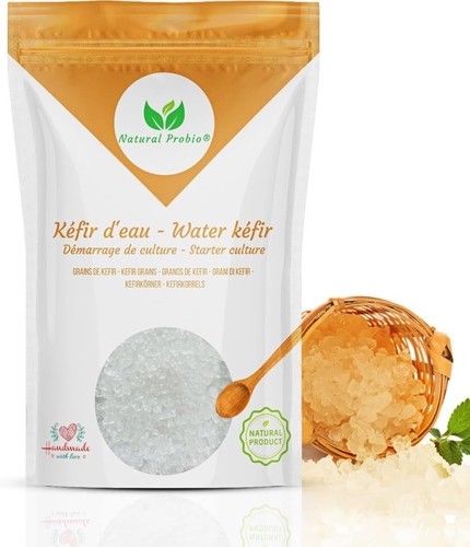 Kéfir eau kit de - d’eau,