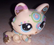 Petshop chat sphynx 1839