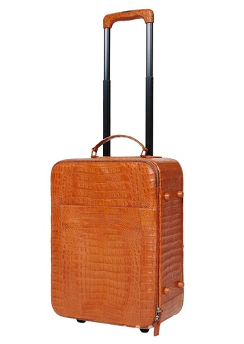 Suitcase trolley alligator - suitcase/trolley,
