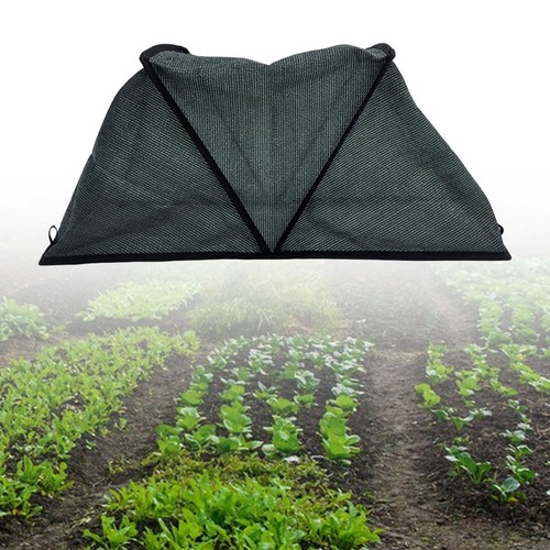 Tente ombrage pour - tente,