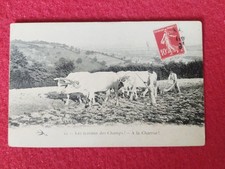 CPA . Les Travaux Des Champs 