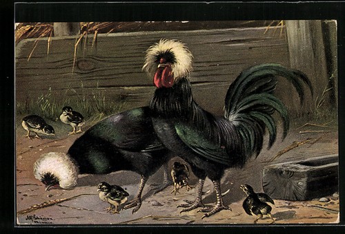 Carte postale artiste alfred - d'artiste,