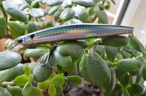 Take wobbler popper jerkbait - take,