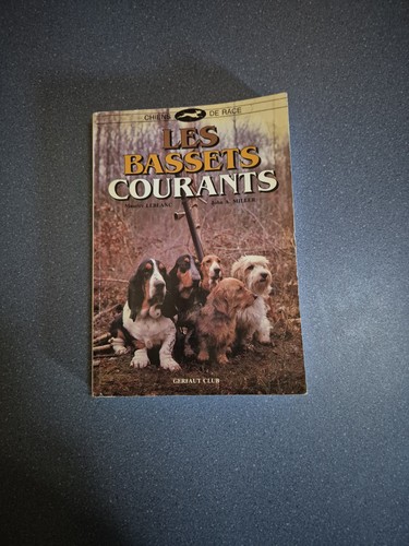 Les bassets courants - bassets, chiens