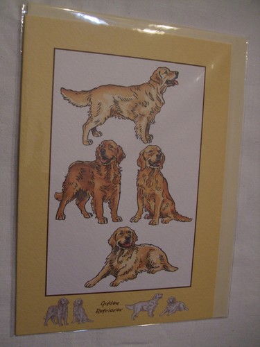 Carte enveloppe chien - +,