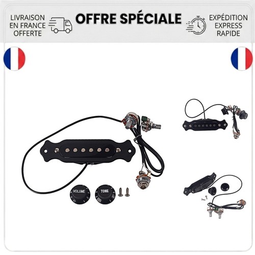 Micro magnétique guitare