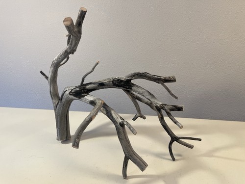 Manzanita driftwood reptile - manzanita, driftwood,