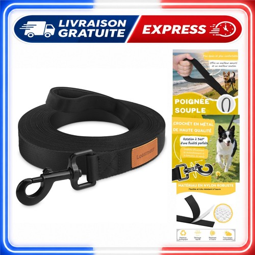 Laisse chien longue 30m - chien, à