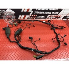 Faisceau électrique principale Triumph Sprint 900 de 1993 à 1998