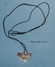 Tiger Shark Tooth Pendant No.8 22mm