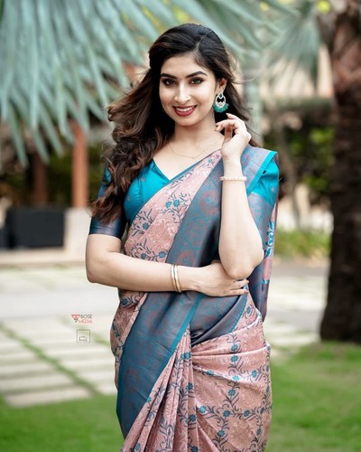 Magnifique chemisier sari - chemisier, de