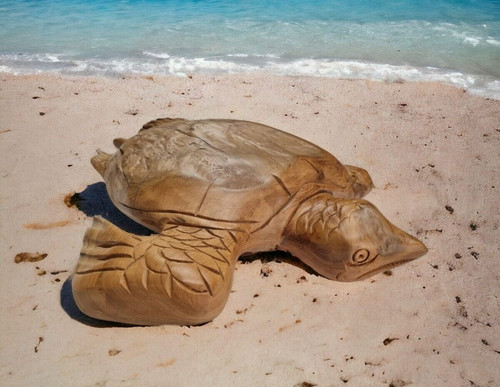 Bois plus tortue - bois, de
