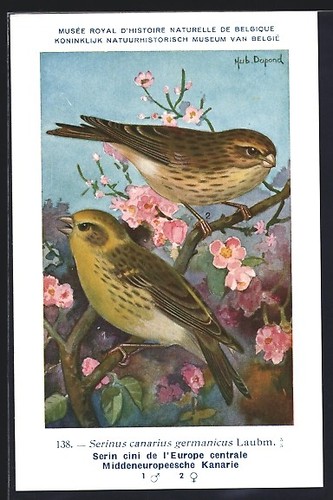 Carte postale artiste - carte, hubert