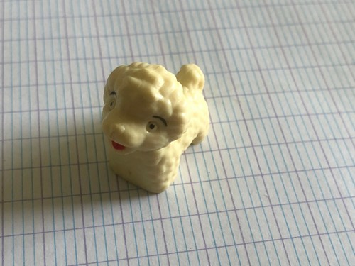 Petit chien caniche autre - petit,