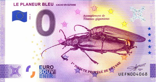 Cacao planeur bleu 3 - planeur,