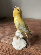 CANARI EN PORCELAINE DE SAXE