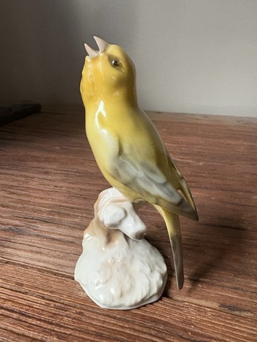 Canari porcelaine saxe - porcelaine, de