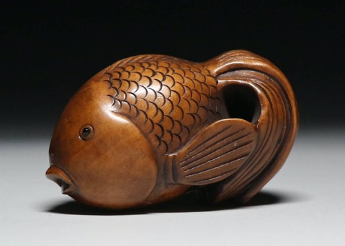 Ancien poisson rouge japonais